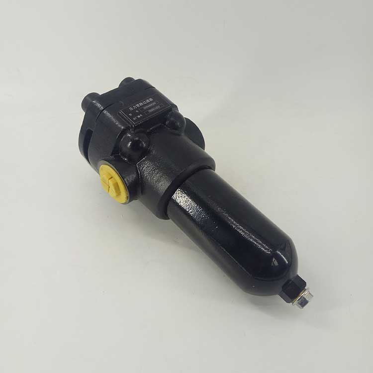 華豫供應(yīng)管道單筒油過(guò)濾器DH300-100B*5FH/10/Y-SS